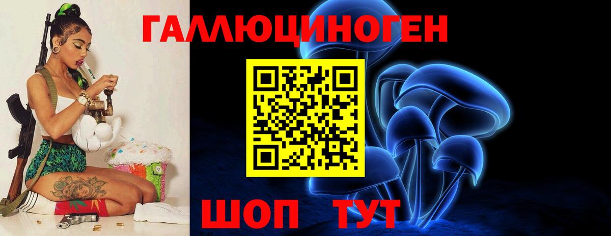 Псилоцибиновые грибы Psilocybe Ханты-Мансийск